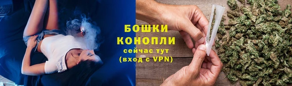 мет Няндома