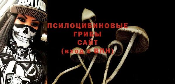 мет Няндома