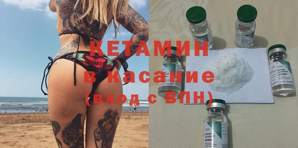 индика Данков