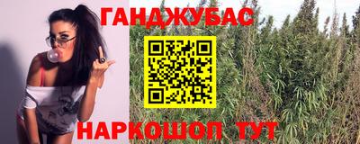 МДПВ Гусев