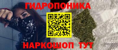 гидропоника Гусиноозёрск