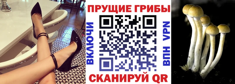 Галлюциногенные грибы Psilocybe  hydra как зайти  Рославль 