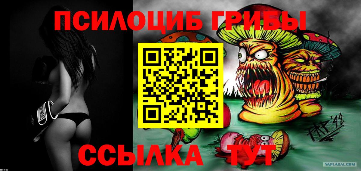 Псилоцибиновые грибы Psilocybine cubensis  Галлюциногенные грибы Magic Shrooms  Вход с VPN  Рославль 