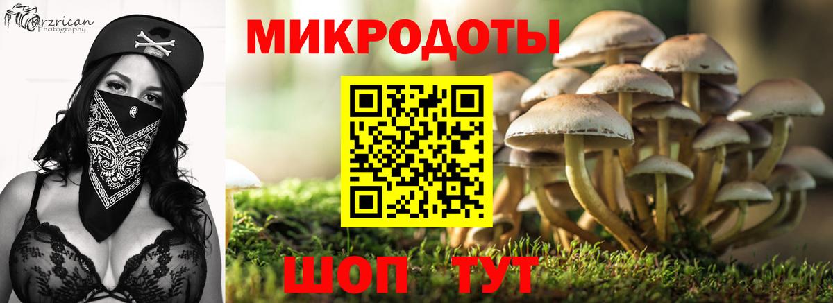 Псилоцибиновые грибы ЛСД Рославль